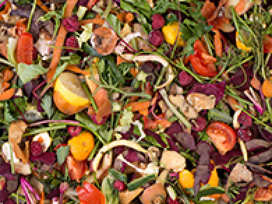 食品残渣・有機汚泥